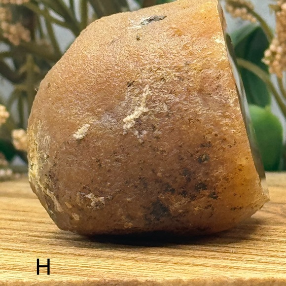 Coyamito Agate from Chihuahua Mexico - Picture 4 of 6